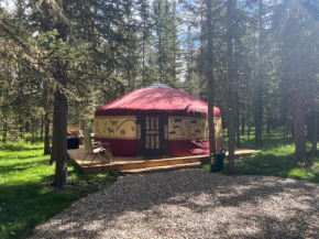 Shanti Yurt in Bragg Creek